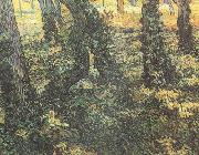 Vincent Van Gogh Tree Trunks with Ivy (nn04) USA oil painting reproduction